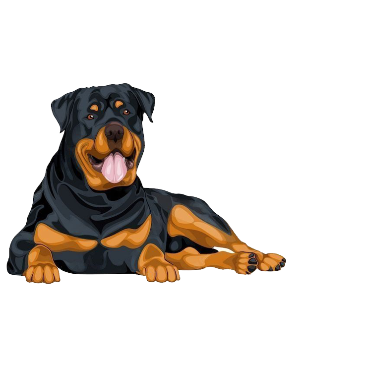 rottweilerpro